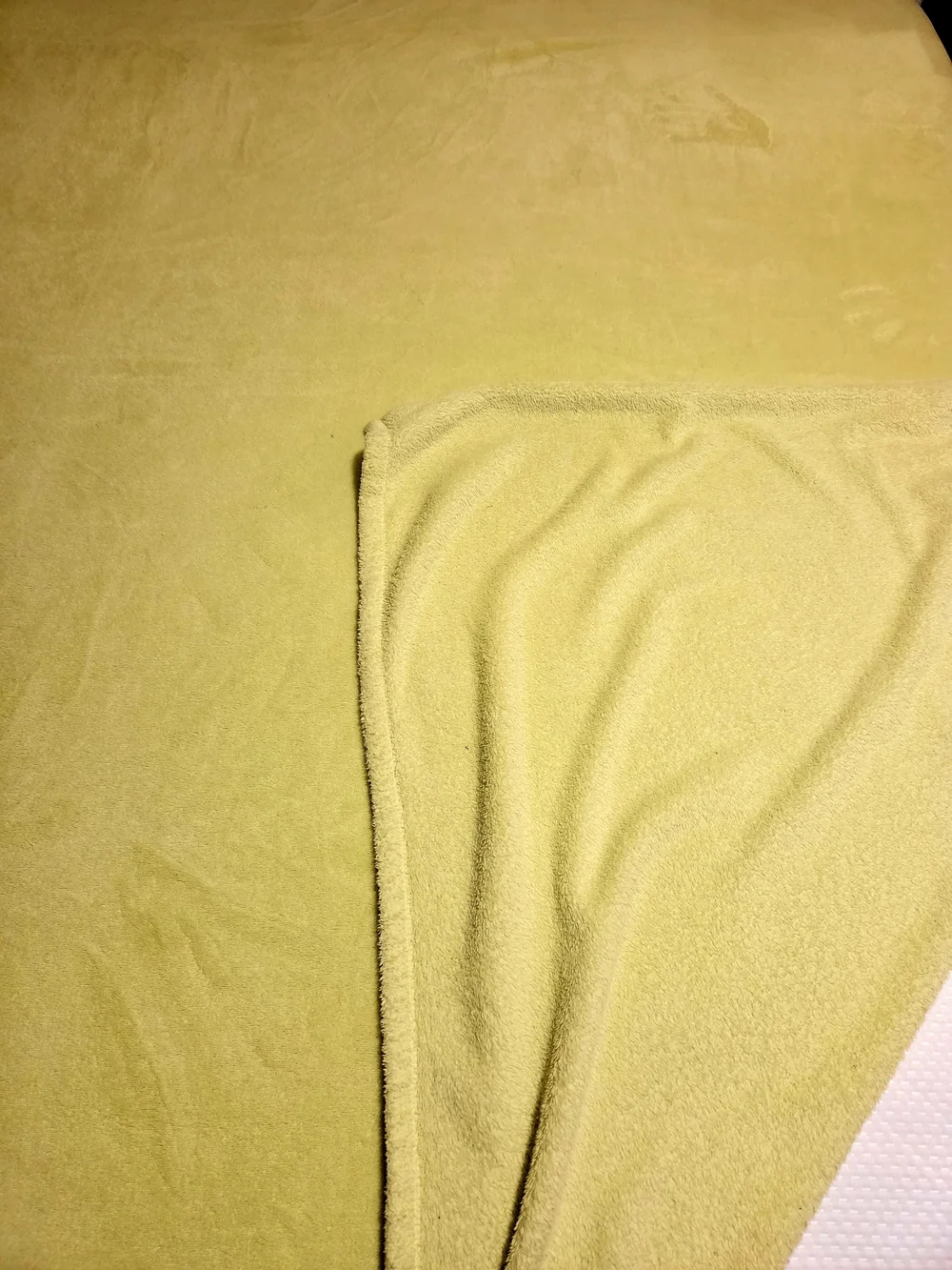 Circo Soft Light Green Plush Blanket